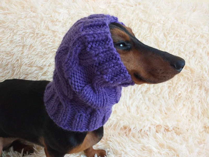 - Remote interactive pet feederDachshund snood handmade, scarf snood hat for dogs