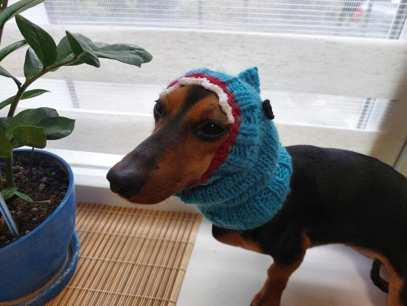 - Pet diabetes prescription foodShark knitted warm wool snood for dog
