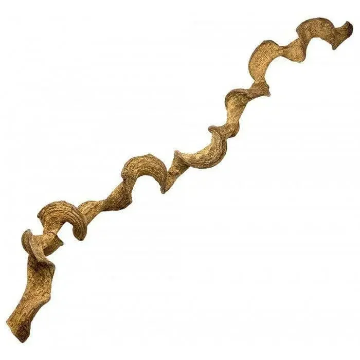 - Remote interactive pet feederLugarti’s Dragon Wood