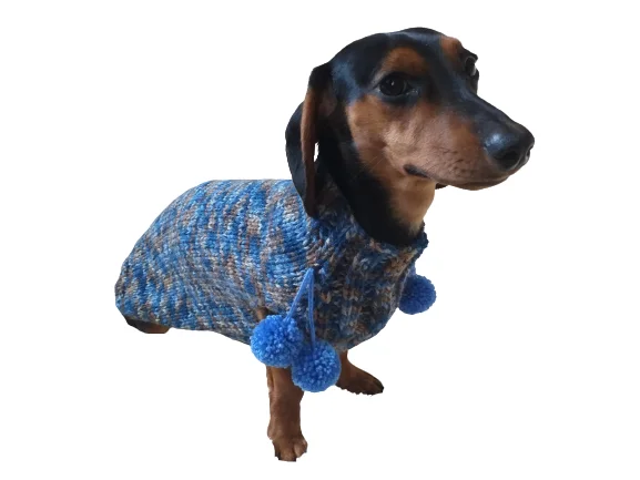 - Dog heart rate monitoring collarWool aran sweater for mini dachshund or small dog, dachshund puppy sweater, terrier sweater, small dog sweater - Dog heart rate monitoring collarWool aran sweater for mini dachshund or small dog, dachshund puppy sweater, terrier sweater, small dog sweater