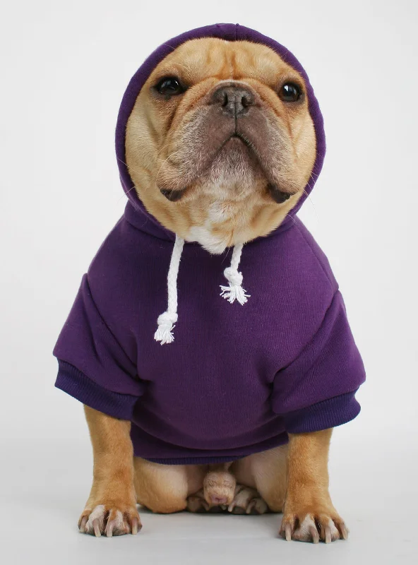 Classification by function or use:The Jasper Dog Hoodie