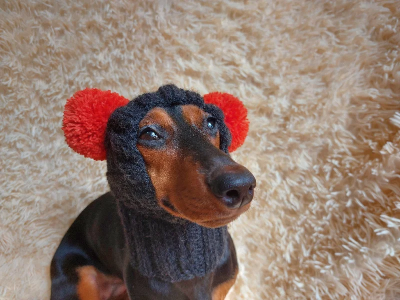 - Solid wood cat climbing frame customizedPet snood hat winter warm wool snood hat for small dogs with two pom poms pet gift dog gift - Solid wood cat climbing frame customizedPet snood hat winter warm wool snood hat for small dogs with two pom poms pet gift dog gift