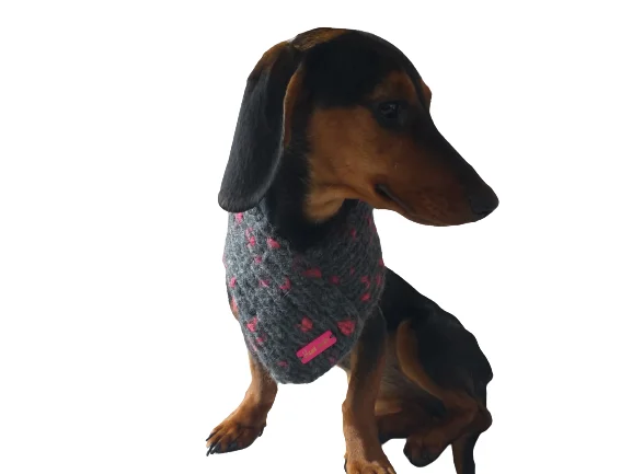 - Pet fence foldable indoorHandmade wool knitted dog scarf, bandana scarf dog, Knitted Warm Wool Pet Scarf, Dog Scarf Clothes, Christmas dog, Winter Dog Accessories - Pet fence foldable indoorHandmade wool knitted dog scarf, bandana scarf dog, Knitted Warm Wool Pet Scarf, Dog Scarf Clothes, Christmas dog, Winter Dog Accessories