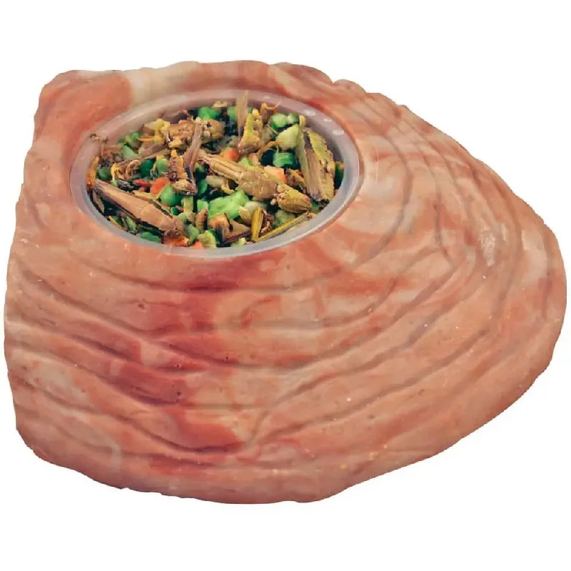 - Pet vitamin complex nutrition tabletsHealthy Herp Stepping Stone Feeding Dish - LG