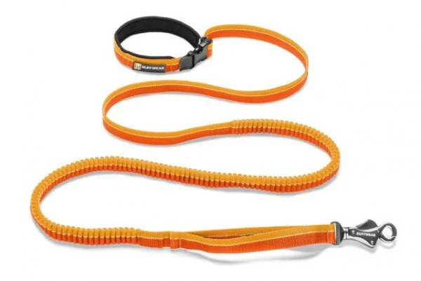 - Postoperative pet anti-licking Elizabethan collarRoamer Leash Orange Sunset M