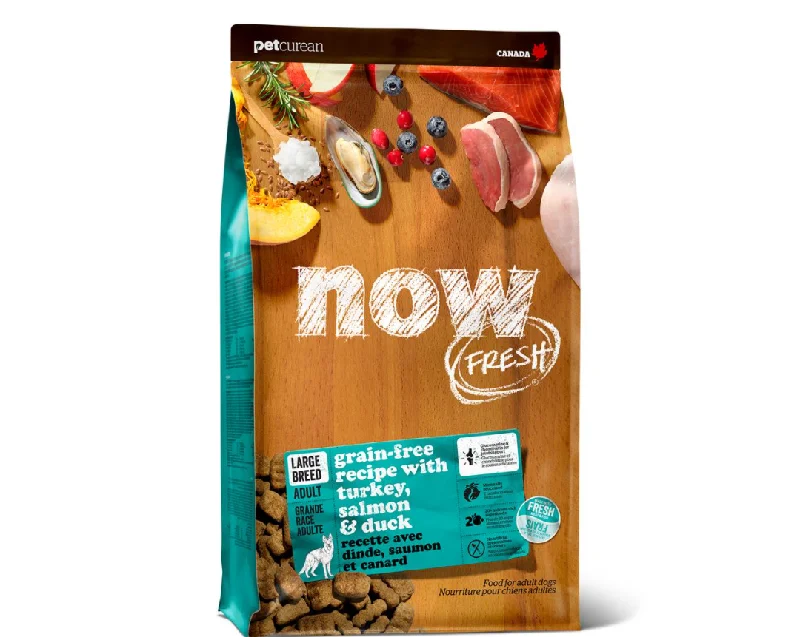 - Where to buy imported dog foodNow Dog Large Breed Adult