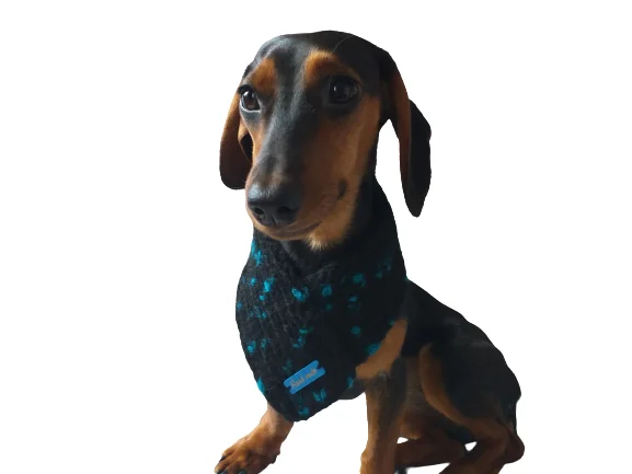 - Dog anti-slip matHandmade wool knitted dog scarf, bandana scarf dog, Knitted Warm Wool Pet Scarf, Dog Scarf Clothes, Christmas dog, Winter Dog Accessories - Dog anti-slip matHandmade wool knitted dog scarf, bandana scarf dog, Knitted Warm Wool Pet Scarf, Dog Scarf Clothes, Christmas dog, Winter Dog Accessories
