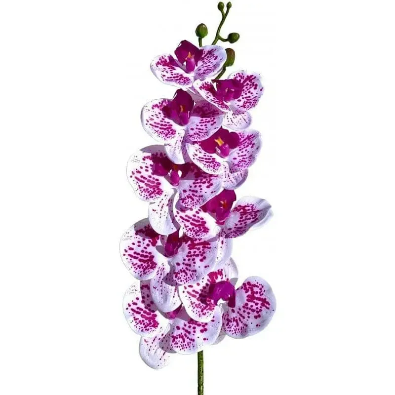 032
