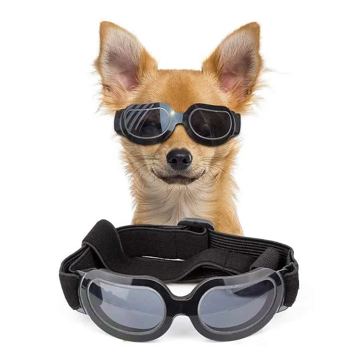 - Elderly dog joint care mattressBlack Lenses Pet Sunglasses for Dogs and Cats - UV Protection, Adjustable Strap, Anti-Wind and Anti-Fog Pet Goggles - Elderly dog joint care mattressBlack Lenses Pet Sunglasses for Dogs and Cats - UV Protection, Adjustable Strap, Anti-Wind and Anti-Fog Pet Goggles
