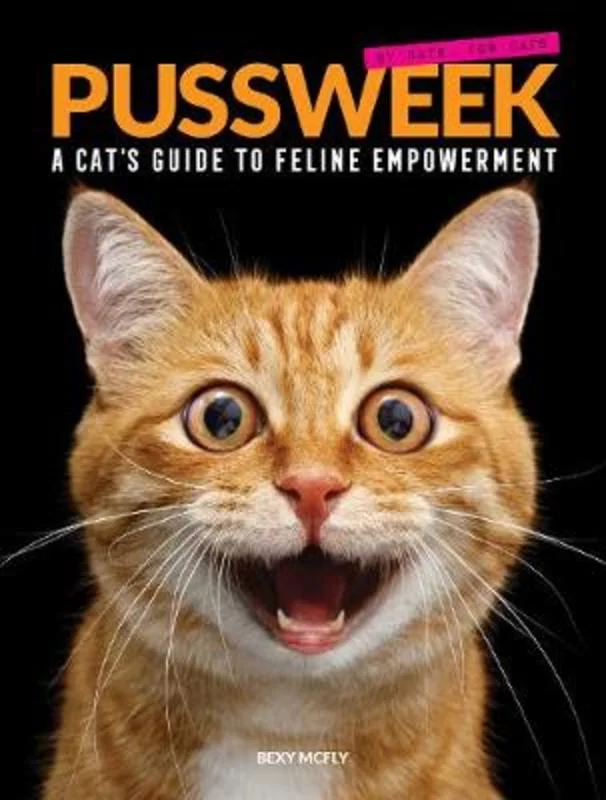 - Automatic temperature adjustment cat bedPussweek