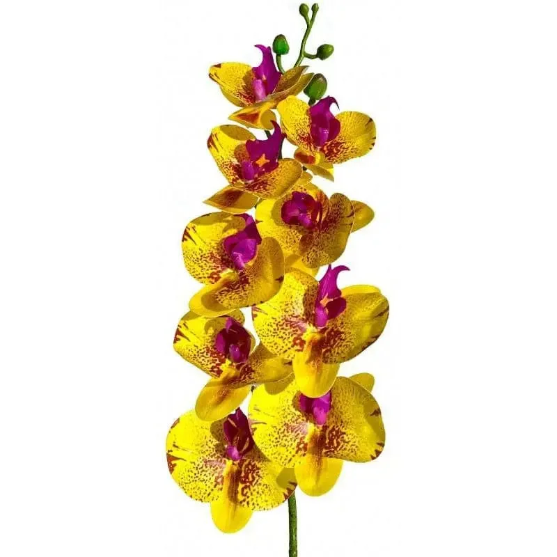029