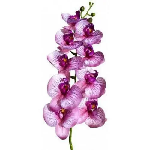 089