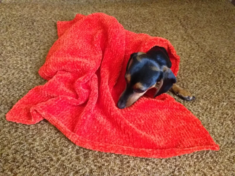 - Pet tear stain cleaning wipesHandmade Plush Knitted Blanket for Dog, Cat or Baby, Dachshund Blanket, Cozy pet blanket, knitted litter for dog or cat - Pet tear stain cleaning wipesHandmade Plush Knitted Blanket for Dog, Cat or Baby, Dachshund Blanket, Cozy pet blanket, knitted litter for dog or cat