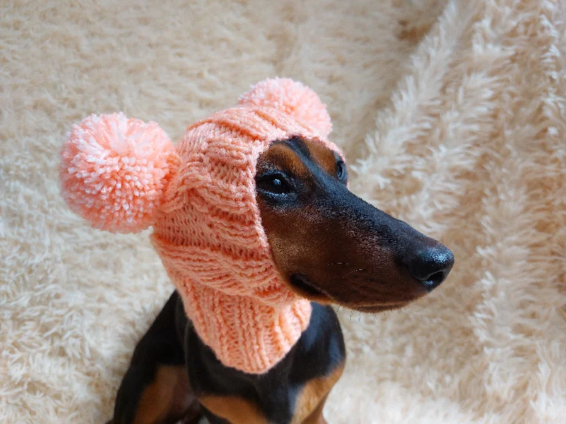- Pregnant cat delivery room warming boxPet snood hat winter warm wool snood hat for small dogs with two pom poms pet gift dog gift - Pregnant cat delivery room warming boxPet snood hat winter warm wool snood hat for small dogs with two pom poms pet gift dog gift