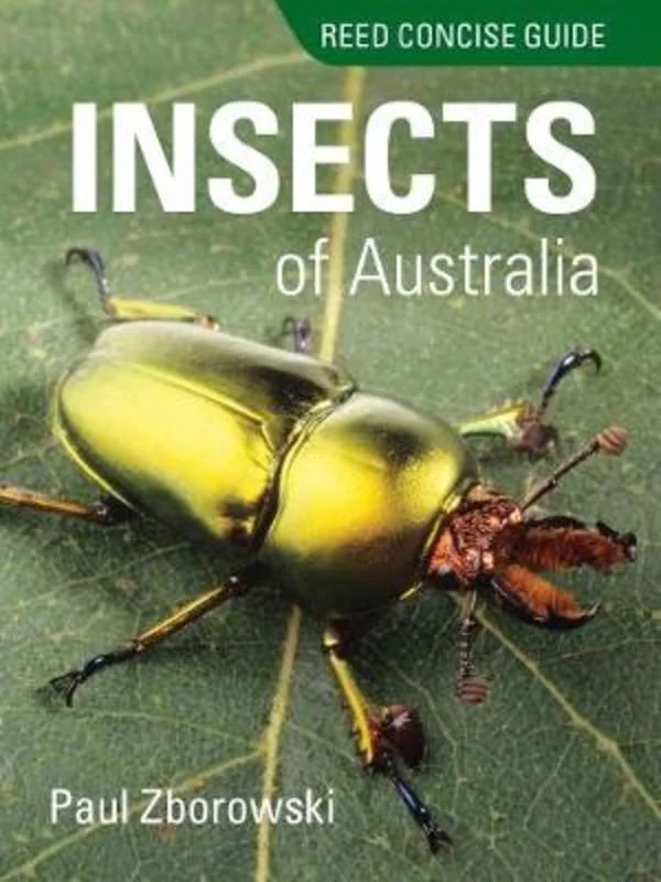 - Parrot climbing and standing wooden frameReed Concise Guide to Insects of Australia