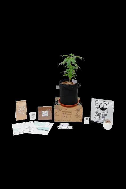 - Remote interactive pet feederA Pot For Pot Grow Kit & 1 Expansion Edition