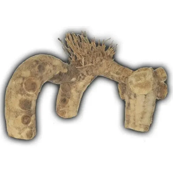 - Winter warm clothes for short-haired dogsSmall Spider Root Aquarium Terrarium Decoration