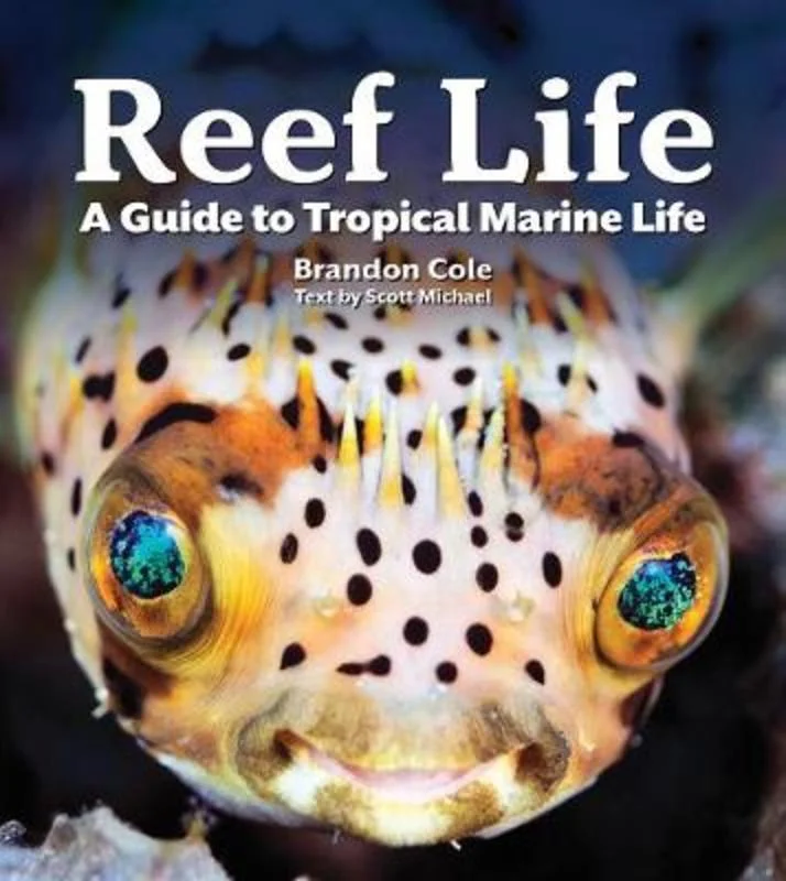 - Pet tear stain cleaning wipesReef Life