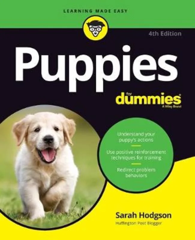  -Anti-scratch sofa protective coverPuppies For Dummies