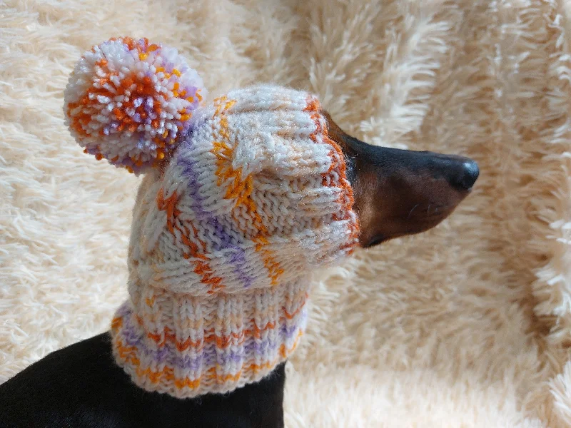 - Pet monitor with cameraWarm winter snood hat for a dog with a pom-pom