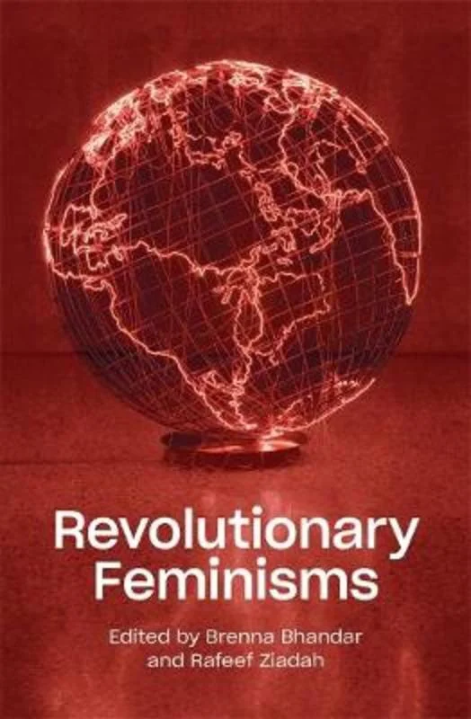 - Pet vitamin complex nutrition tabletsRevolutionary Feminisms