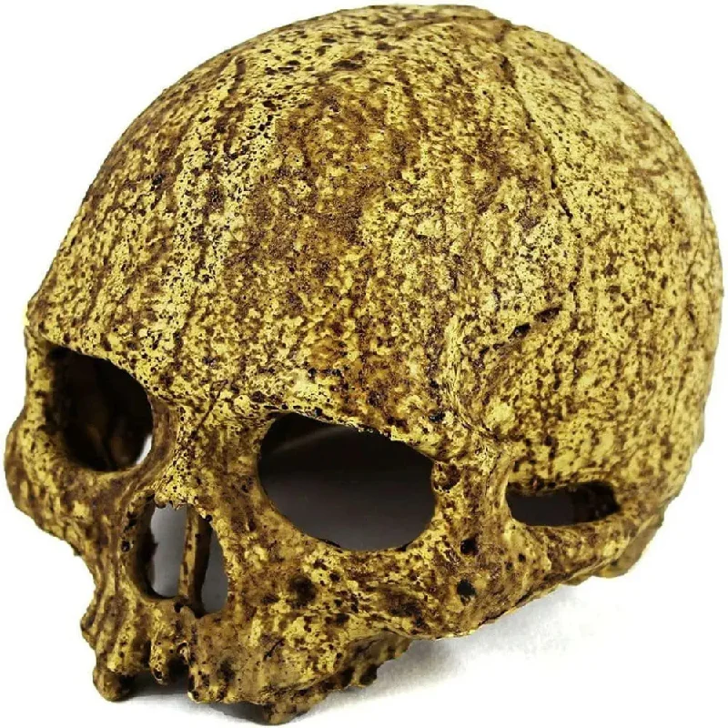 - Pet tear stain cleaning wipesPangea Human Skull Cave