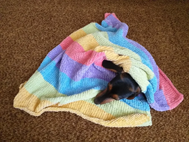 - Climbing pet constant temperature heating padKnitted Rainbow Striped Pet Blanket, Colorful Blanket for Dog, Cat, Baby, Dachshund Blanket, Cozy pet blanket, knitted litter for dog or cat - Climbing pet constant temperature heating padKnitted Rainbow Striped Pet Blanket, Colorful Blanket for Dog, Cat, Baby, Dachshund Blanket, Cozy pet blanket, knitted litter for dog or cat