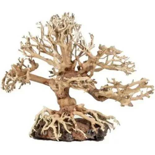 - Natural latex pet mattressZoo Med Dragon Bonsai Tree Aquarium Decoration