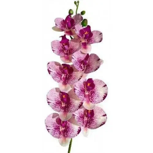 035