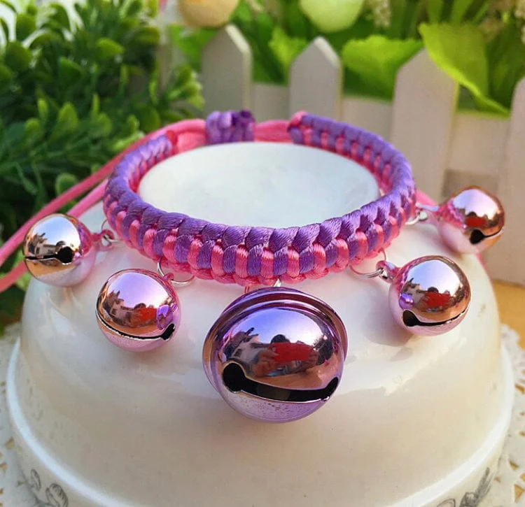 - Elderly dog joint care mattressKUTKUT Pet Collar Necklace Hand Woven Dog - Cat Collar Bell Pendant Cat Accessories Puppy Pet Supplies with Bells (SIZE: L, Adjustable Neck: 20cm - 55cm)… - Elderly dog joint care mattressKUTKUT Pet Collar Necklace Hand Woven Dog - Cat Collar Bell Pendant Cat Accessories Puppy Pet Supplies with Bells (SIZE: L, Adjustable Neck: 20cm - 55cm)…