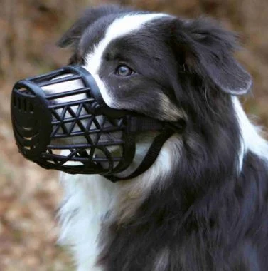 - Air box TSA certified check-inMuzzle, Plastic M 20cm, Black