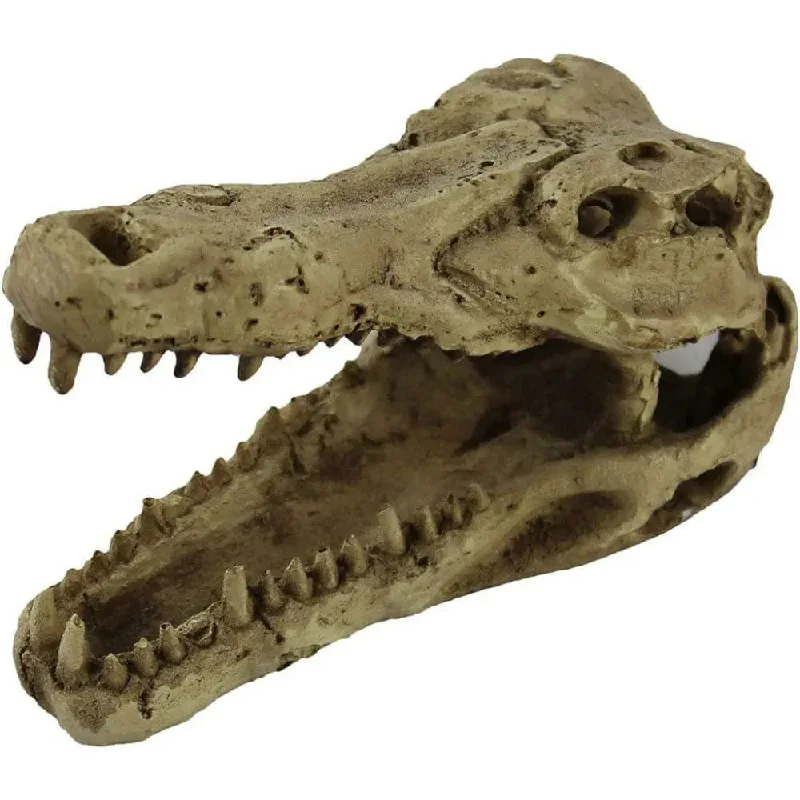- Pet smart GPS locatorPangea Crocodile Skull