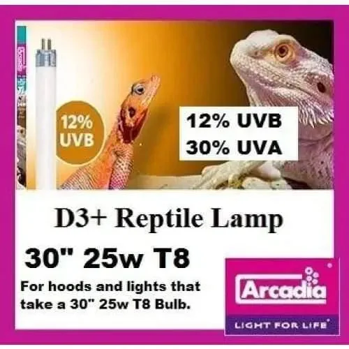 - Pet monitor with cameraArcadia T8 12% D3+ Reptile Lamp 30" 25 watt **New ODD size for Exo Terra Hoods - Pet monitor with cameraArcadia T8 12% D3+ Reptile Lamp 30" 25 watt **New ODD size for Exo Terra Hoods