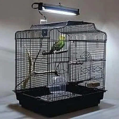 - Elderly dog joint care mattressArcadia Bird PureSun Light Kit USA New Model Bird Cage Light for Parrots - Elderly dog joint care mattressArcadia Bird PureSun Light Kit USA New Model Bird Cage Light for Parrots