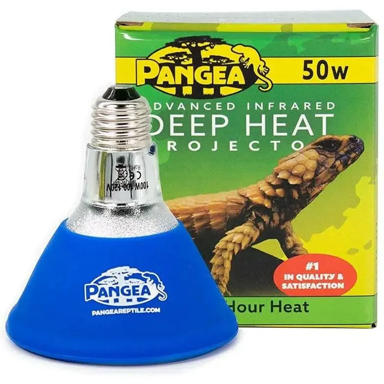 - Postoperative pet anti-licking Elizabethan collarPangea Deep Heat Projector for Reptiles