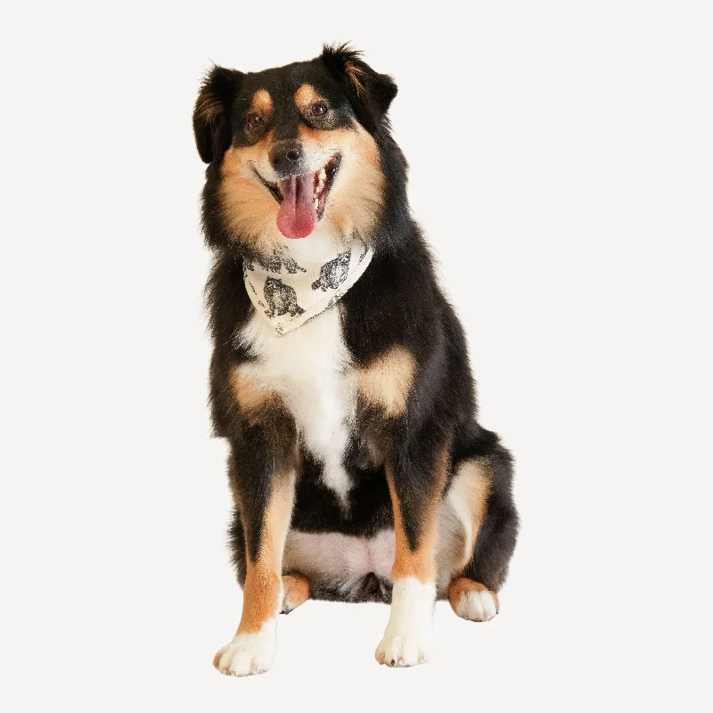 - Custom pet birthday cakedoggie bandana | raccoons | organic cotton interlock
