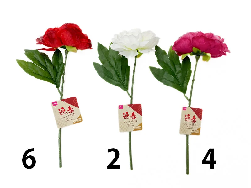 - Dog disposable foam shower gelShort Peony