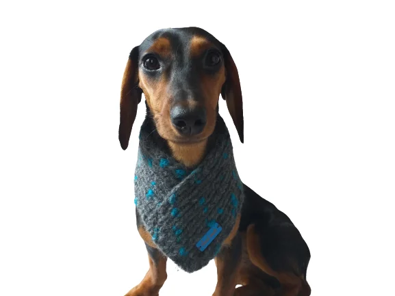 -Anti-scratch sofa protective coverHandmade wool knitted dog scarf, bandana scarf dog, Knitted Warm Wool Pet Scarf, Dog Scarf Clothes, Christmas dog, Winter Dog Accessories -Anti-scratch sofa protective coverHandmade wool knitted dog scarf, bandana scarf dog, Knitted Warm Wool Pet Scarf, Dog Scarf Clothes, Christmas dog, Winter Dog Accessories