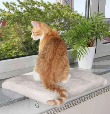 - Pet diabetes prescription foodResting pad for windowsills 51 x 36 cm, light grey