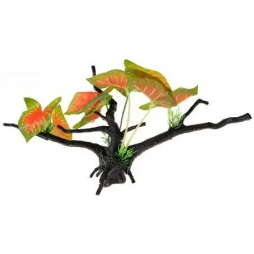 - Pet monitor with cameraPenn Plax Driftwood Plant - Green & Red - Wide