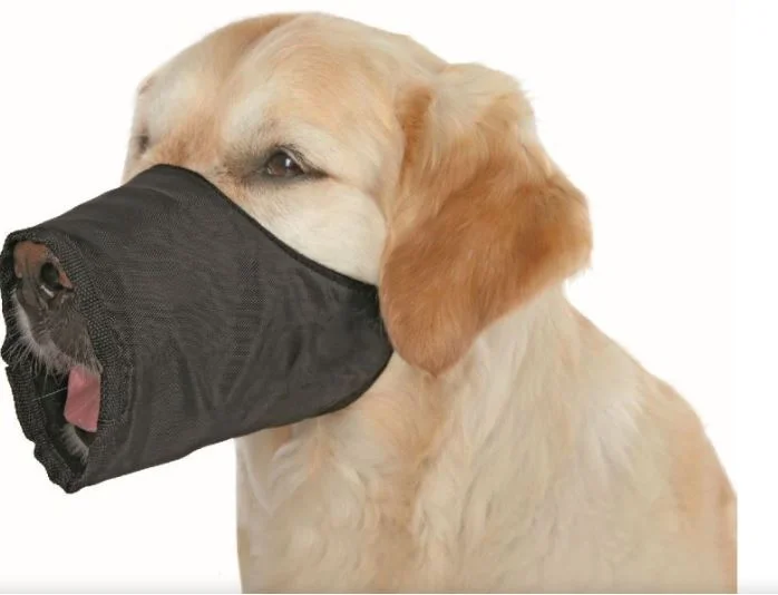 - Foldable and portable cat bagMuzzle, nylon M, black