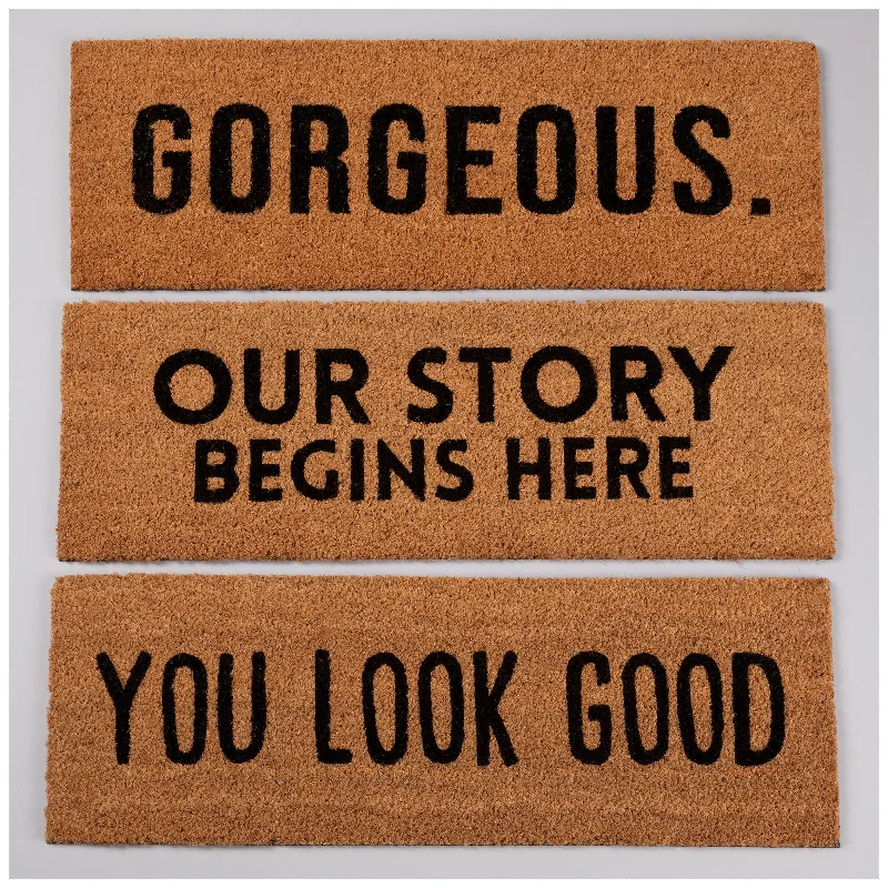 - Car dog seat beltWarm Welcome Coir Door Mat