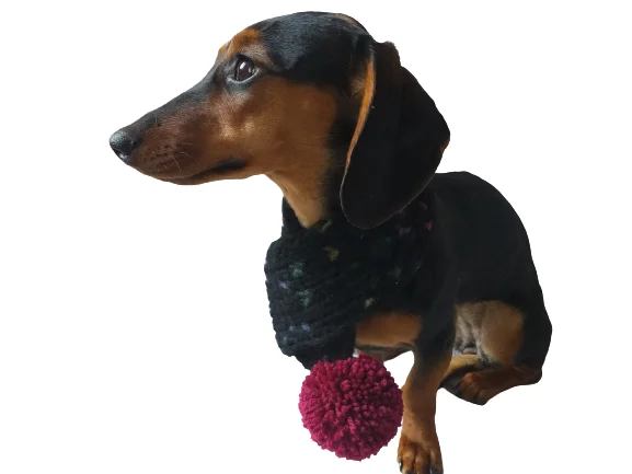 - Durable nylon dog leash wholesaleKnitted PomPom Scarf for Dachshund or Small Dog, Knitted Warm Wool Pet Scarf, Dog Scarf Clothes, Christmas dog Gift, Winter Dog Accessories - Durable nylon dog leash wholesaleKnitted PomPom Scarf for Dachshund or Small Dog, Knitted Warm Wool Pet Scarf, Dog Scarf Clothes, Christmas dog Gift, Winter Dog Accessories