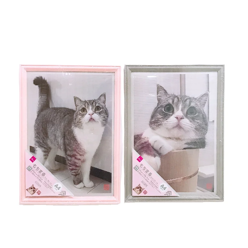 - Foldable and portable cat bagPhoto Frame - Motimaru - For Size A4 Photo