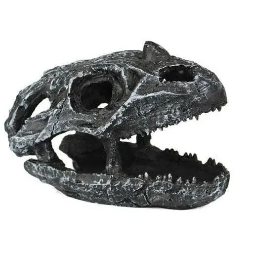 - Pet electric nail grinder silent modelPangea Dinosaur Skull Cave