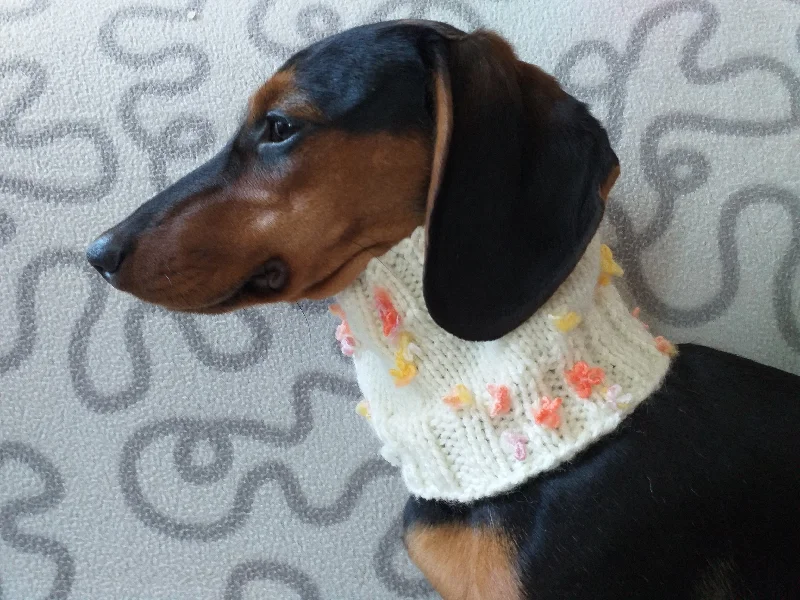 - Dog disposable foam shower gelScarf snood for dog with butterflies and flowers, scarf snood for small dogs, snood for dachshund, scarf for dachshund - Dog disposable foam shower gelScarf snood for dog with butterflies and flowers, scarf snood for small dogs, snood for dachshund, scarf for dachshund