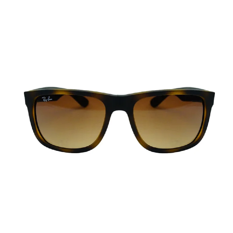 - Pet tear stain cleaning wipesRAYBAN RB4165-710/13-55