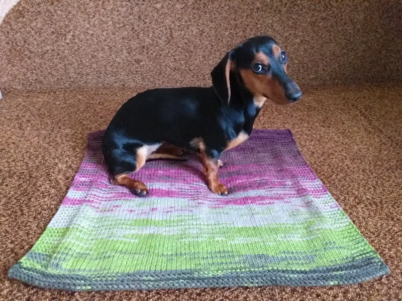 - Cat hair ball removal and hair removal creamHandmade knitted wool blanket for dog, cat, dachshund, cozy warm pet wool blanket, knitted blanket for dogs or cats - Cat hair ball removal and hair removal creamHandmade knitted wool blanket for dog, cat, dachshund, cozy warm pet wool blanket, knitted blanket for dogs or cats