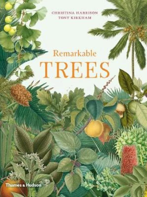 - ​​Pet toys under    yuanRemarkable Trees