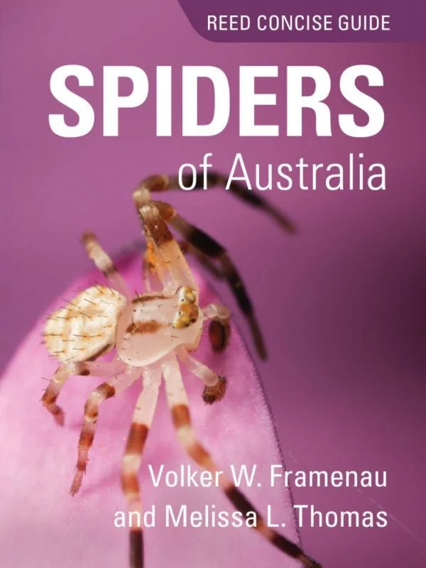 - Deodorizing cat litter tofu litterREED CONCISE GUIDE SPIDERS OF AUSTRALIA